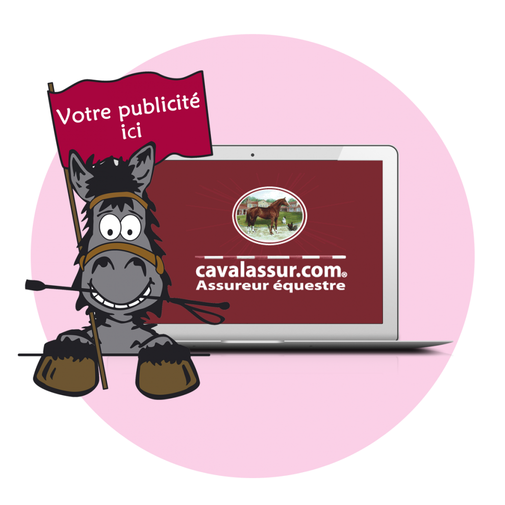 marketing-pub